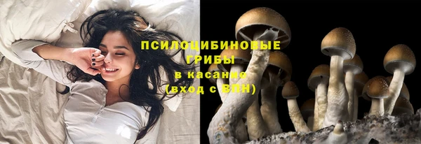 гидропоника Алексеевка