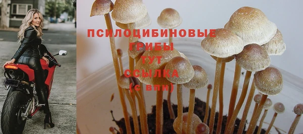 трава Алексин