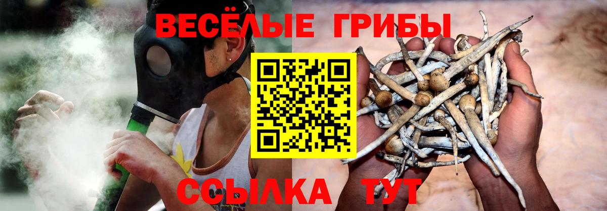 Галлюциногенные грибы ЛСД  Вход с VPN  Тосно 